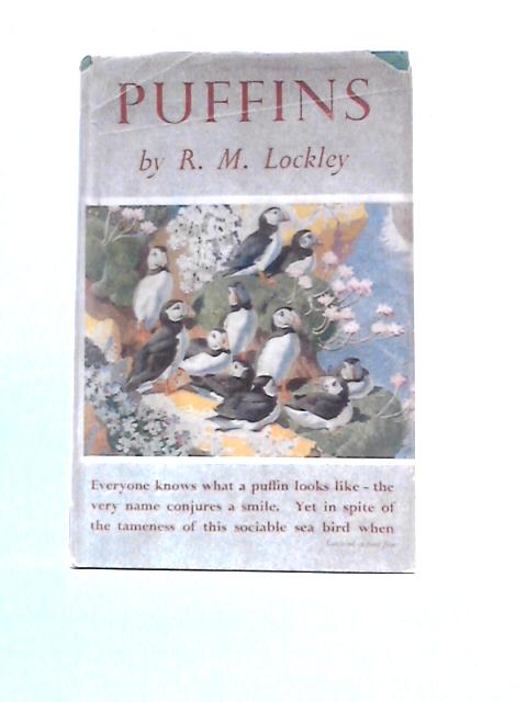 Puffins