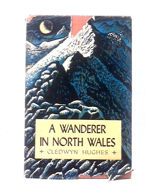 A Wanderer In North Wales