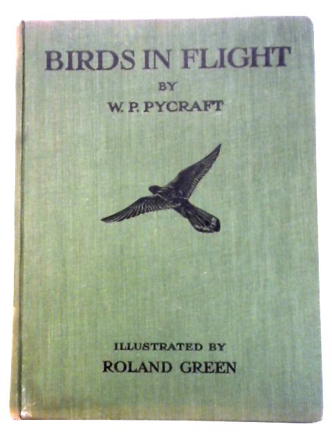 Birds In Flight