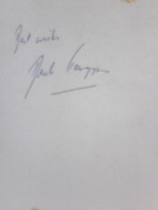 Donkey in the Meadow 