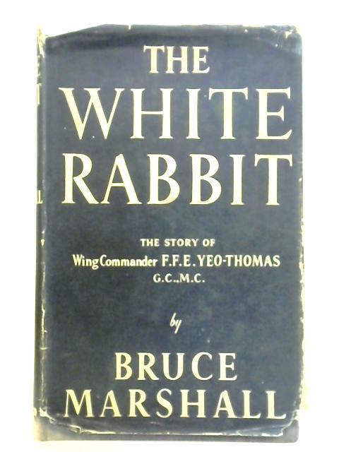 The White Rabbit