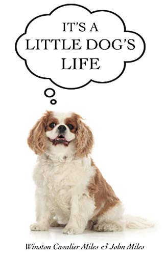 It's A Little Dog's Life: Humorous stories told by Winston the Cavalier King Charles Spaniel