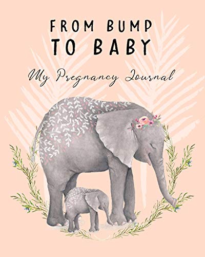 From Bump To Baby My Pregnancy Journal