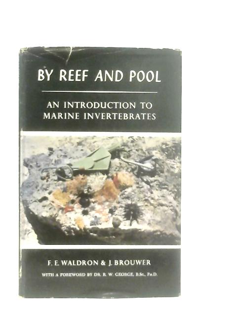 By Reef and Pool