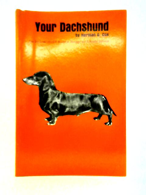 Your Dachshund