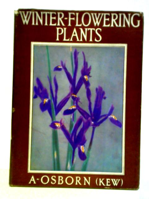 Winter-Flowering Plants For Outdoor Borders