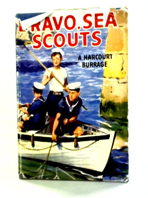 Bravo, Sea Scouts!