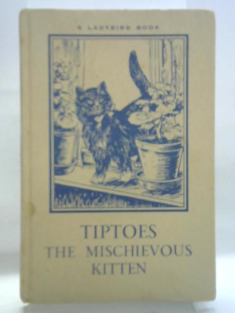Tiptoes The Mischievous Kitten