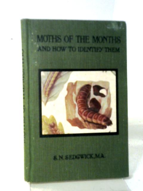 Moths Of The Month And How To Identify Them.