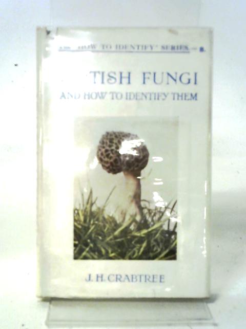British Fungi and How to Identify Them