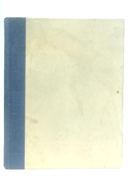 The Bar Bat Mitzvah Planbook