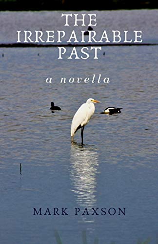 The Irrepairable Past