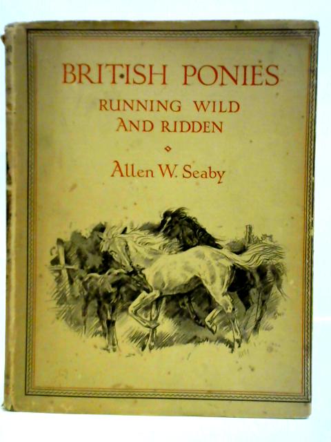 British Ponies Running Wild and Ridden