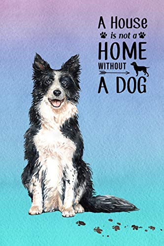 A House is Not a Home Without a Dog