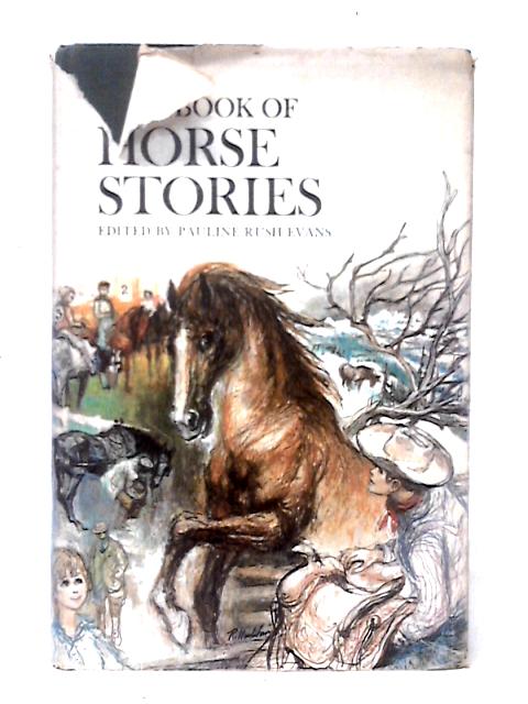 Best Book Of Horse Stories