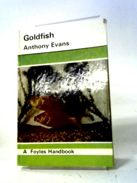 Goldfish