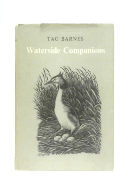 Waterside Companions