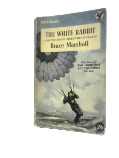 The White Rabbit