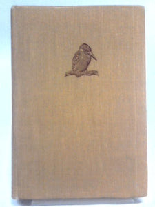 Out with Romany By Meadow and Stream 