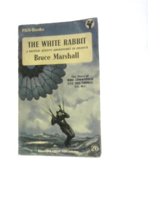 The White Rabbit