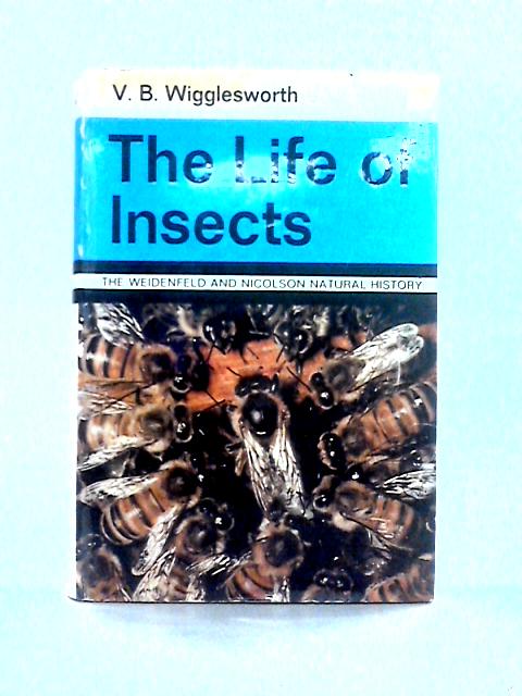The Life Of Insects