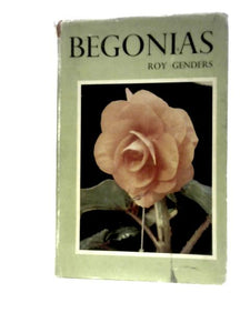 Begonias 