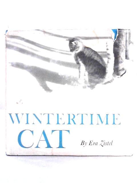 Wintertime Cat