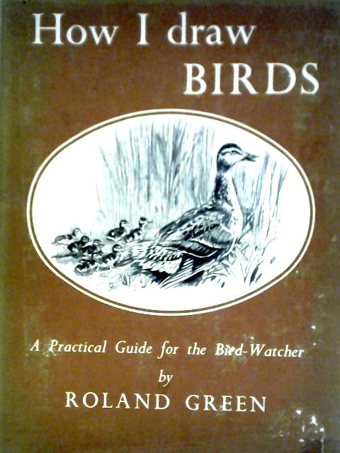 How I Draw Birds: A Practical Guide