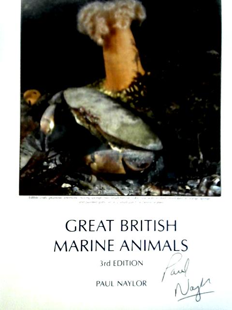 Great British Marine Animals