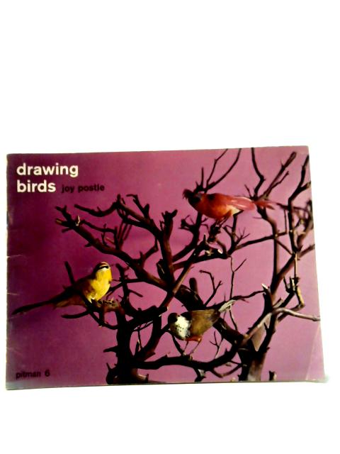 Drawing Birds
