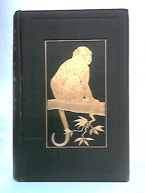 New Illustrated Natural History of the World