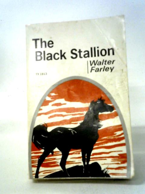 The Black Stallion