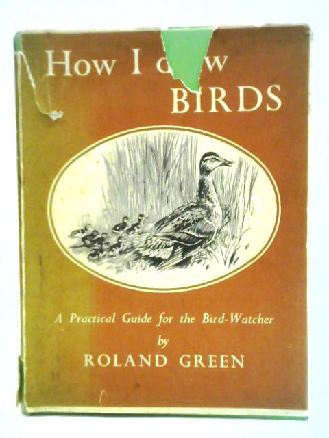 How I Draw Birds: A Practical Guide