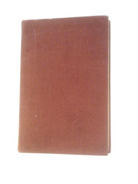 Bing The Story Of A Tramp Dog