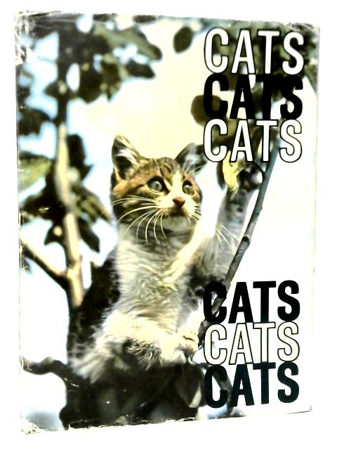 Cats Cats Cats
