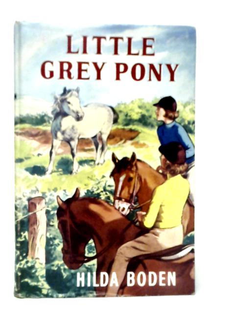 Little Grey Pony