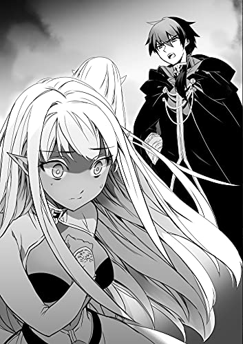 An Archdemon's Dilemma: How to Love Your Elf Bride: Volume 12 (Light Novel)