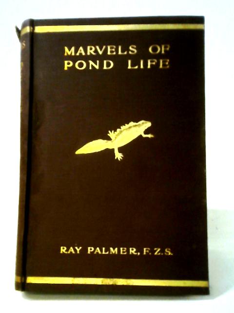 Marvels Of Pond Life