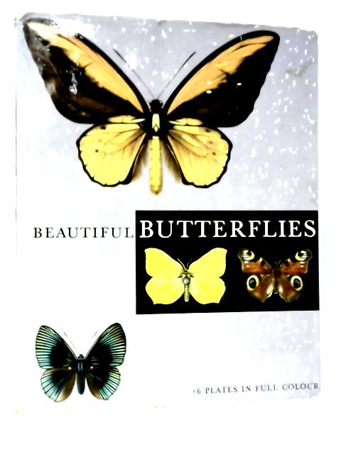 Beautiful Butterflies