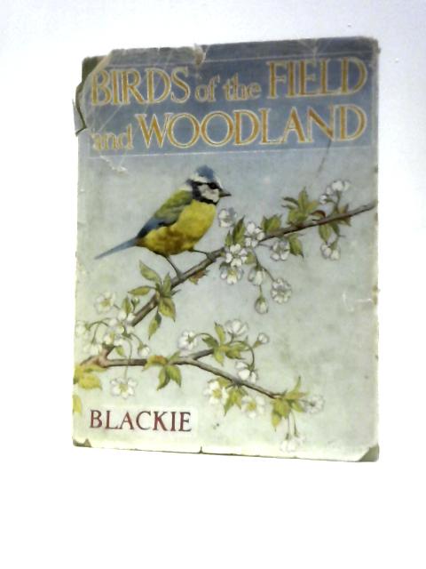 Birds Of The Field And Woodland