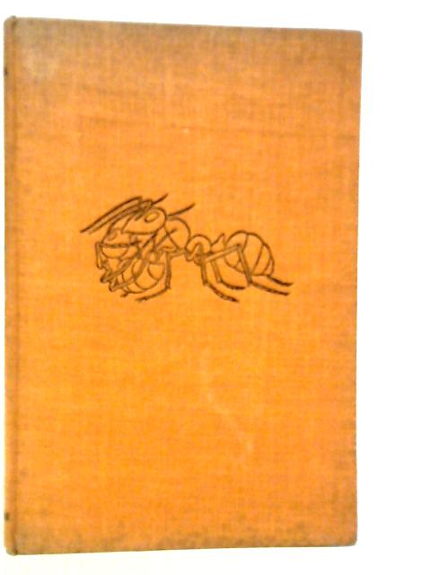 Rufa The Wood Ant
