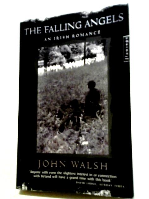 The Falling Angels: An Irish Romance