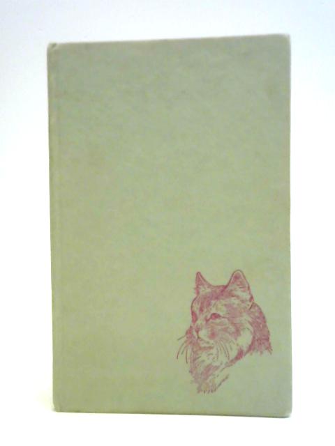 Mr Cat