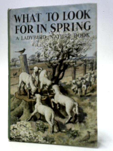 What To Look For In Spring