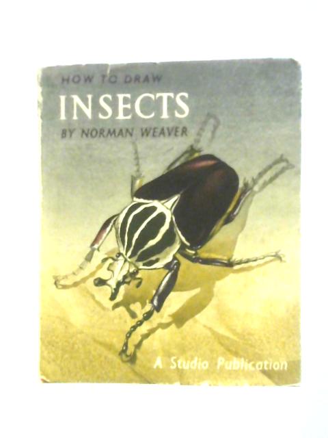 How To Draw Insects (How To Draw Series; No.42)
