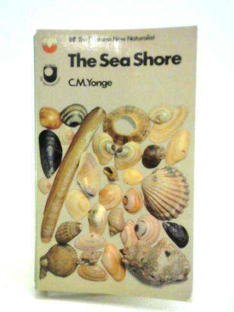 The Sea Shore