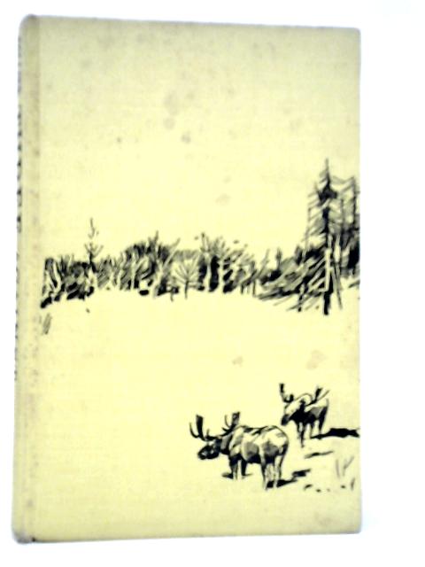 Three Against Wilderness