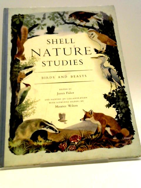 Shell Nature Studies: Birds and Beasts