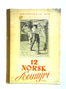 Norsk Aevintyri 