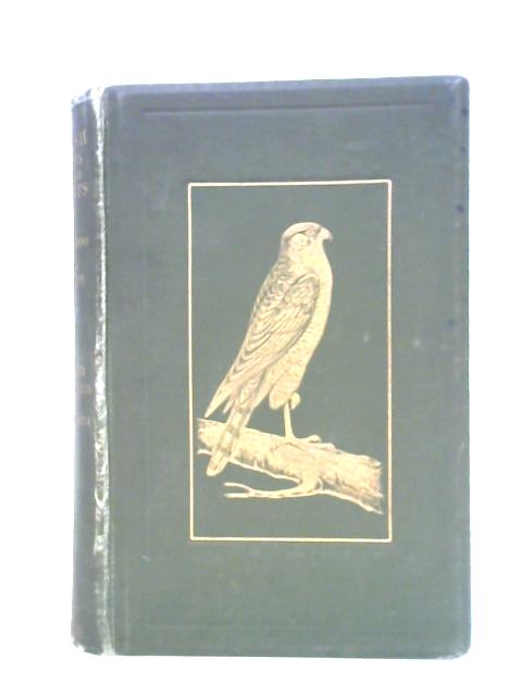 British Birds In Their Haunts